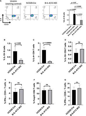 B Cell IL-4 Drives Th2 Responses In Vivo, Ameliorates Allograft Rejection, and Promotes Allergic Airway Disease